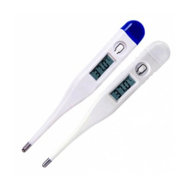 Electronic Thermometer Moulding